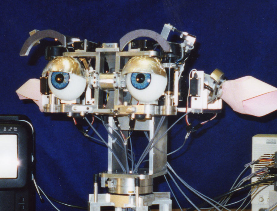 Animatronic and Robot Eyes